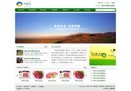 北京鸿睿思博科技 专业网站建设与设计服务的领先者